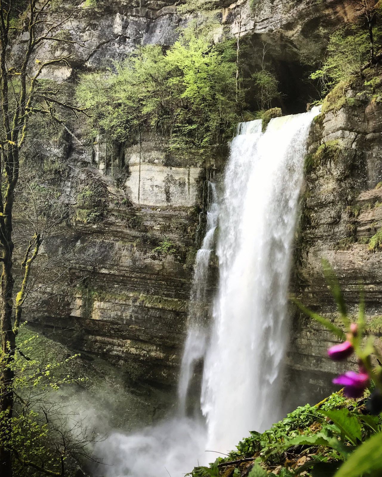 randonnée dans le haut doubs